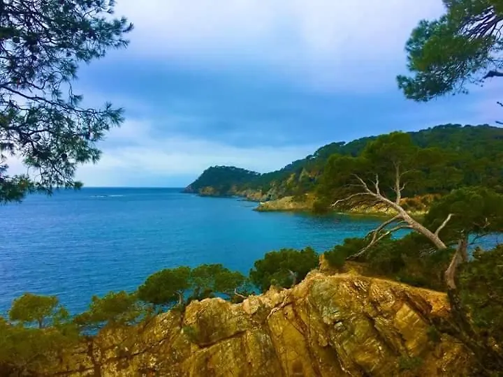 3 Etoiles Au Bord De L'Eau Apartment La Seyne-sur-Mer France