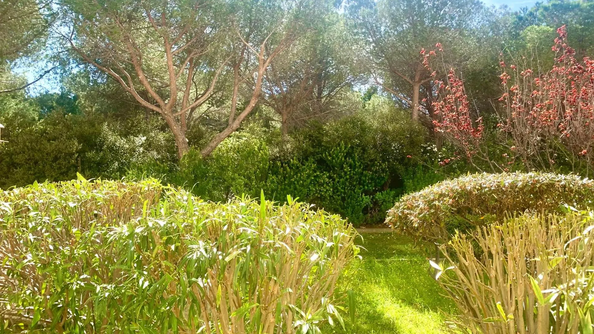 3 Etoiles Au Bord De L'Eau Apartment La Seyne-sur-Mer France